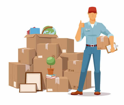 Professional Junk Removal in Summerfield FL